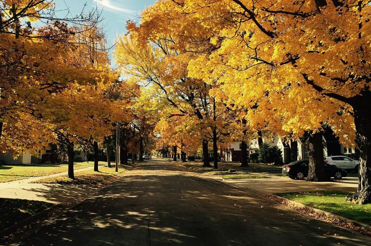 .autumn