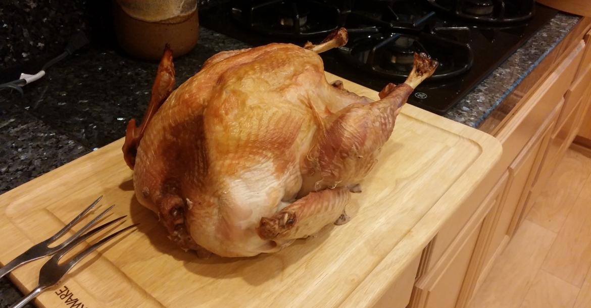 thanksgiving turkey
