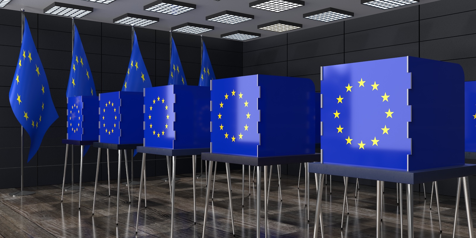 .elezioni europee